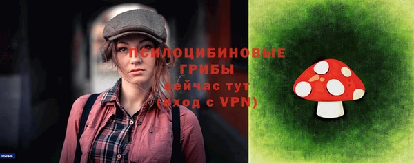 гидра Наволоки