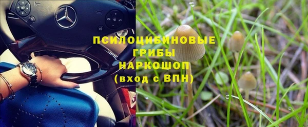 гидра Наволоки