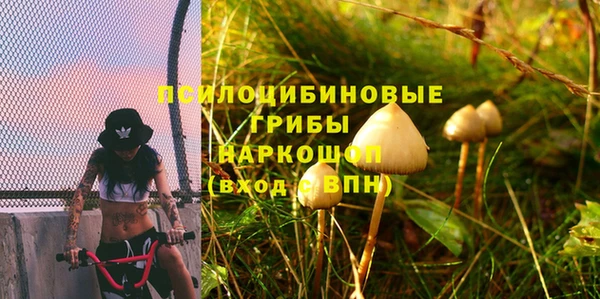 гидра Наволоки