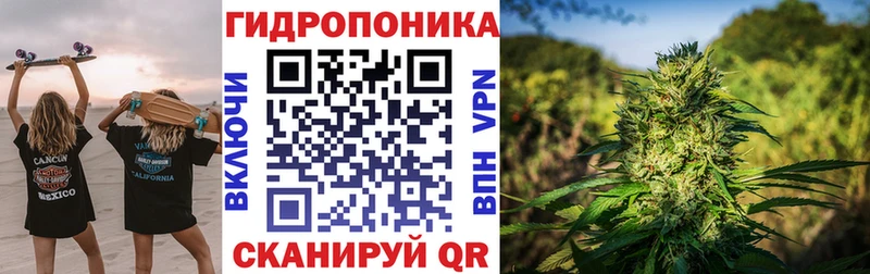Бошки марихуана индика Сусуман